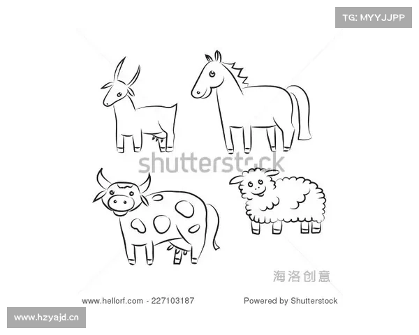Ram、Sheep、Goat 哪个可以表示羊年 Ram、Sheep、Goat 哪个可以表示羊年