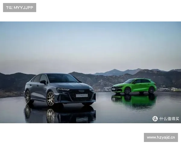 [钢炮之王]奥迪RS专用2.5L 直列5缸发动机技术介绍